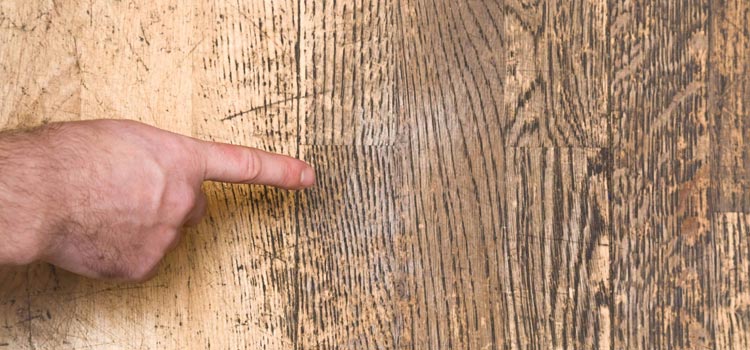 Wood Door Scratch Repair in Pompano Beach